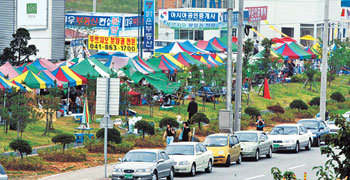 수도 이전 후보지의 떴다방