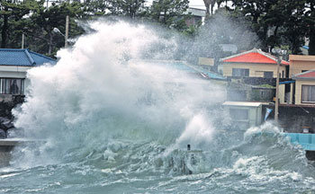 집채만한 파도