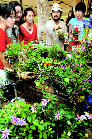 토종 야생화 보러오세요