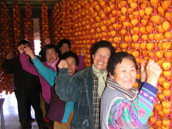 호미대신 마우스로 돈 벌었어요