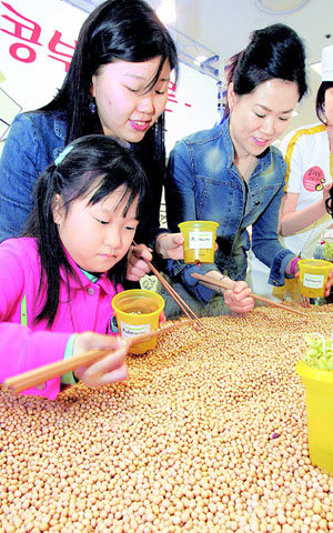 콩나물 직접 길러볼까요