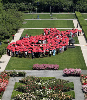 에이즈를 잡아라