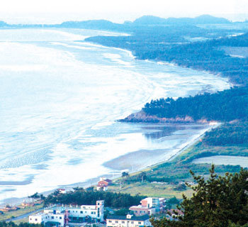 숨어있는 해수욕장, 임자도