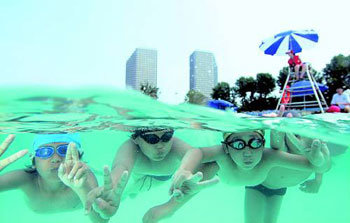 시원한 물속 세상