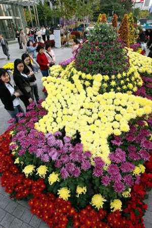 100만 송이 국화 향기에 취해보세요