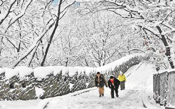 기습폭설에 한파 출근길 빙판 조심