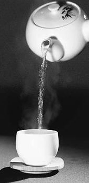 녹차, 전립샘비대증 예방효과