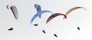 창공 수놓은 패러글라이딩