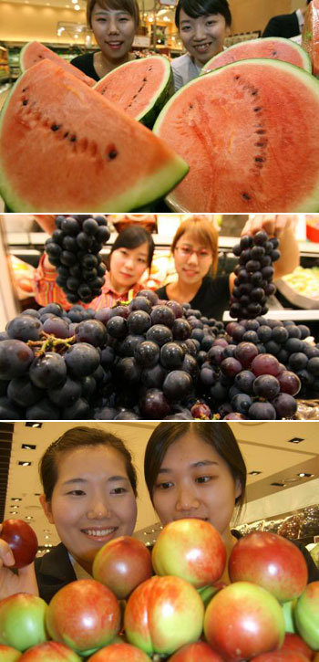 여름철 과일, 입을 유혹하네