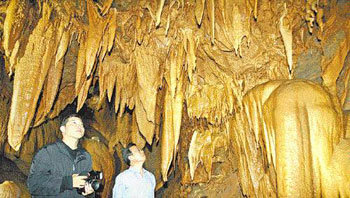 삼척 대금굴 5억년 비밀의 문 열다