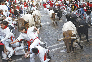 아찔 스페인 소몰이 축제