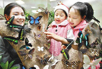 나비야 너도 놀이기구 타러왔니?