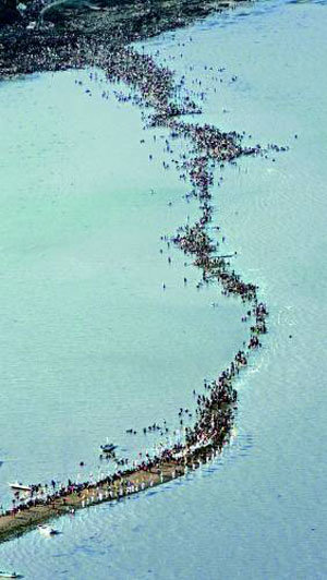 진도 모세의 기적 2만명 북적