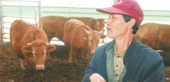 키울수록 빚만 늘어나니 어찌 사나