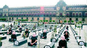 나무가 죽어가요