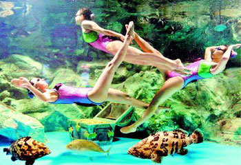 물속에서 열린 뮤지컬