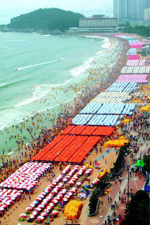 해운대 7937개 파라솔 물결 기네스북 오른다