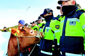 내가 뭘 잘못했소?
