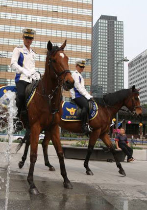 경찰기마대 광화문광장 순찰