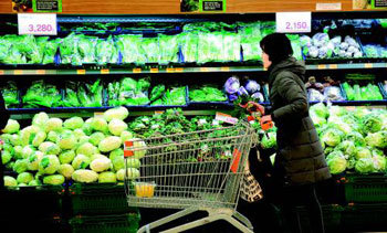 금값 채소 담기가 겁나네