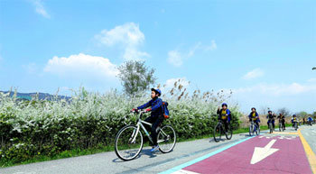 페달 밟으며 봄 만끽
