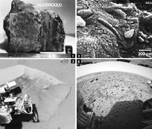 ‘문어 화성인’ 자취 쫓는 NASA의 화성탐사