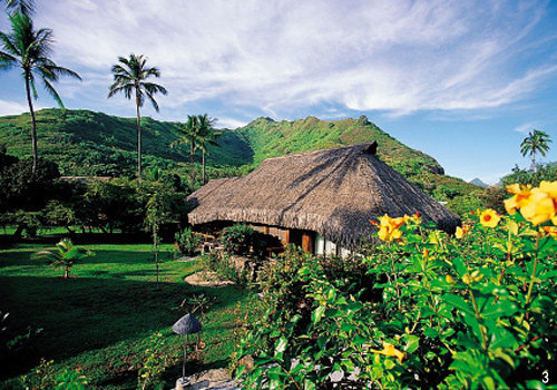 고갱의 강렬한 원색이 꿈틀대는 섬 폴리네시아 타이티