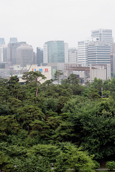 푸른 유혹, 서울의 숲