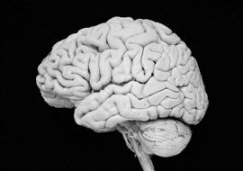 ‘두뇌 조깅’‘정신 에어로빅’으로 뇌 노화 막자!