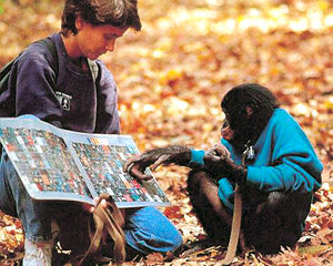 인류는 침팬지와 1.2% 다른, ‘털 없는 유인원’일 뿐