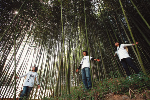 담양 대나무 축제