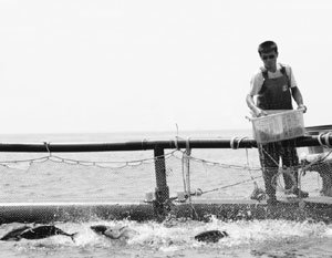 다랑어잡이 홍석남의 30년 ‘참치 인생’