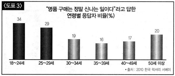 맥킨지 ‘2010 한국 명품 소비자 서베이’