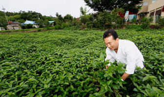 사라진 우리 쪽빛 되찾은 염색장 정관채