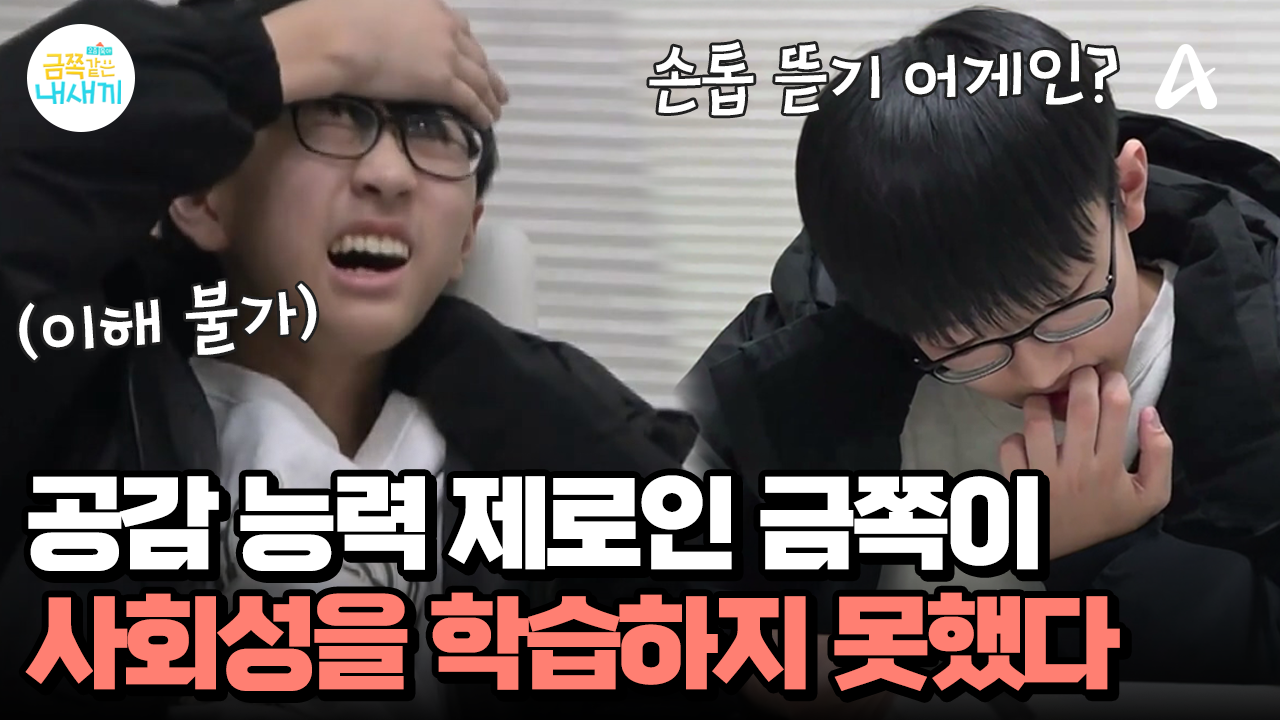 논술 책만 보면 어질? 공감 능력 제로! 사회성을 배우지 못한 금쪽이