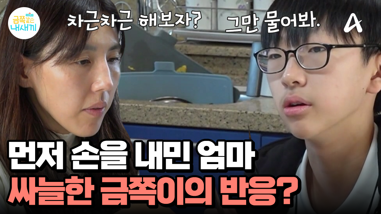 통제 중단 선언한 엄마! 그럼에도 싸늘한 금쪽이의 반응? 할 말을 잃은 가족들 ㅠㅠ