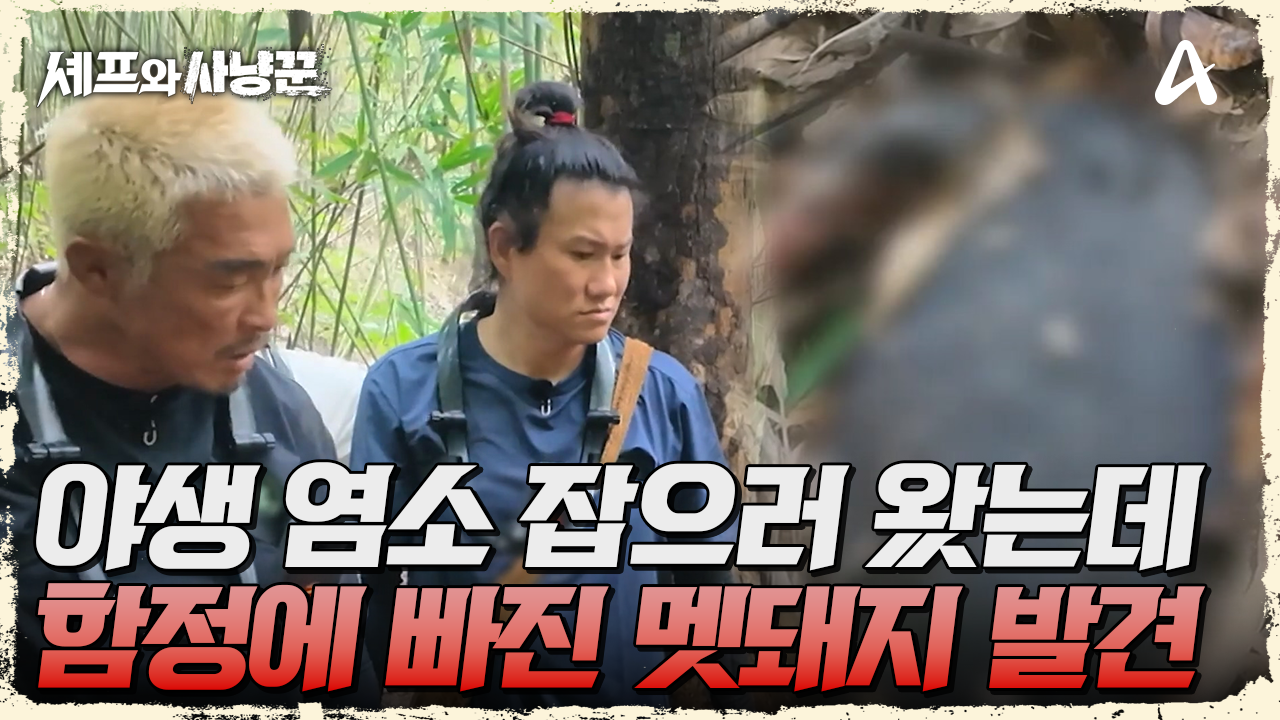 야생 염소 잡으려다... 함정에 빠진 멧돼지 발견한 사냥꾼들?