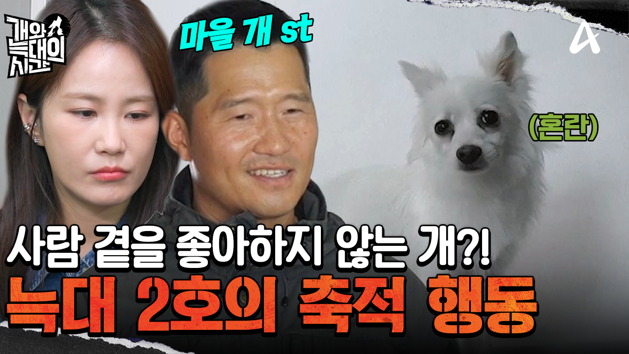 늑대 2호는 사람과 살지 않는 \