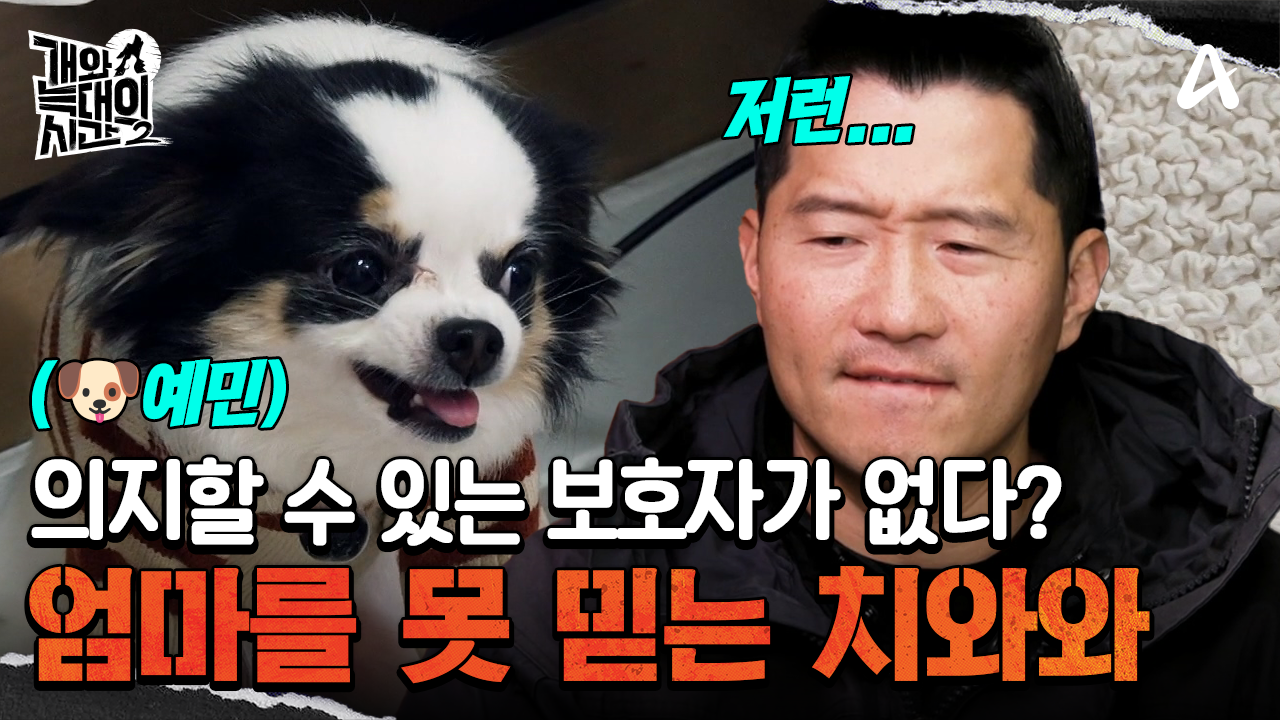 늑대 1호에게는 의지할 보호자가 없다? 엄마를 믿지 못하는 급발진견