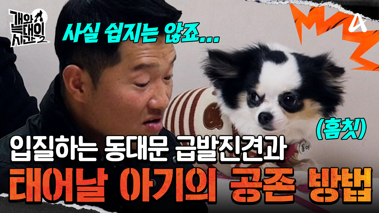 입질하는 강아지와 아기, 어떻게 공존해야 좋을까요?