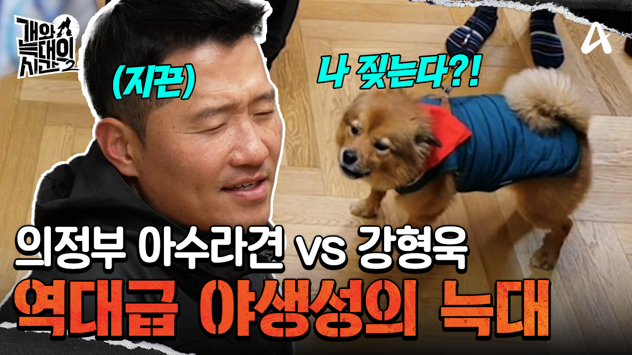 의정부 아수라견 vs 강형욱, 목줄을 물어 뜯으며 격렬하게 저항하는데...?