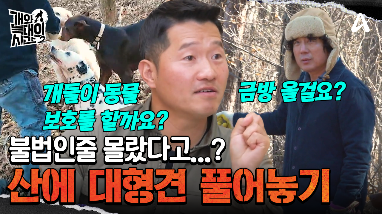 대형견 4마리와 함께 뒷산 산책을?! 근데 이거 불법이라구요...?