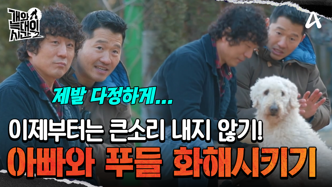 푸들&아빠 보호자, 관계 개선 솔루션 시작! 큰 소리 내지 않기?!
