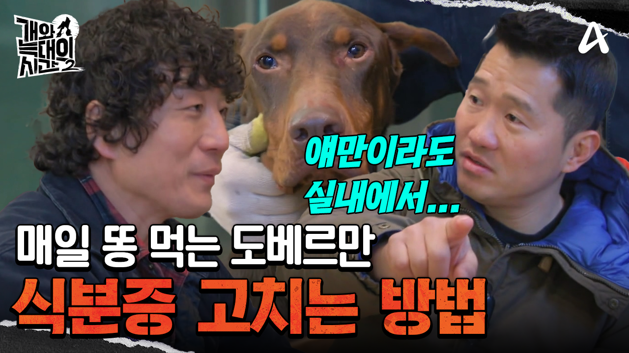 스트레스로 바짝 마른 도베르만, 변을 먹지 못하게 막는 방법은?