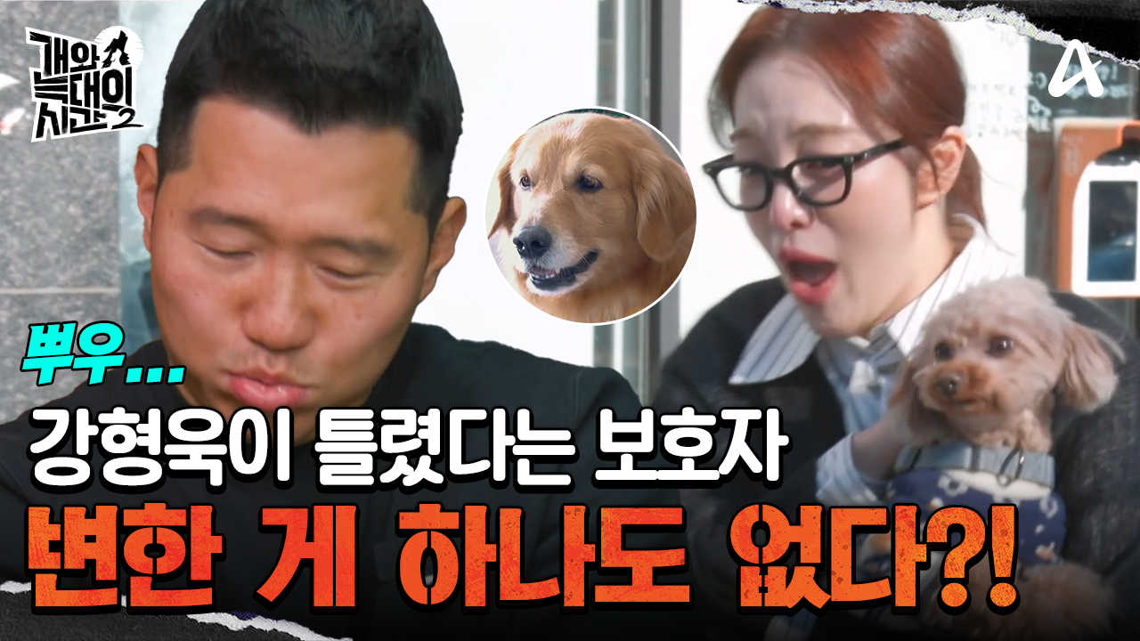 강형욱이 틀렸다? 솔루션 이후, 변한 게 하나도 없는 늑대 3호?