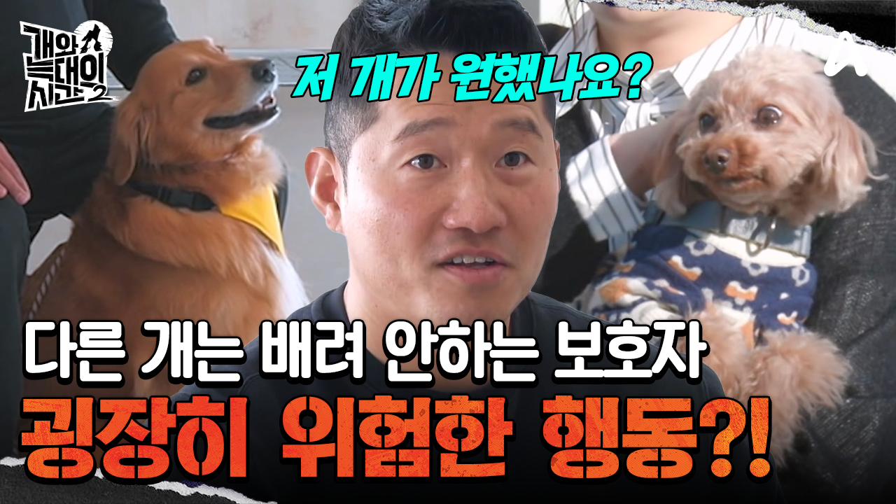 본인과 본인 개가 우선이라 다른 개는 배려하지 않는 보호자?!