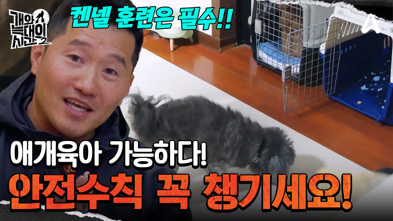 아기 키우면 켄넬 훈련은 필수! 아기를 위협하는 입질 공격성 사라졌을까?