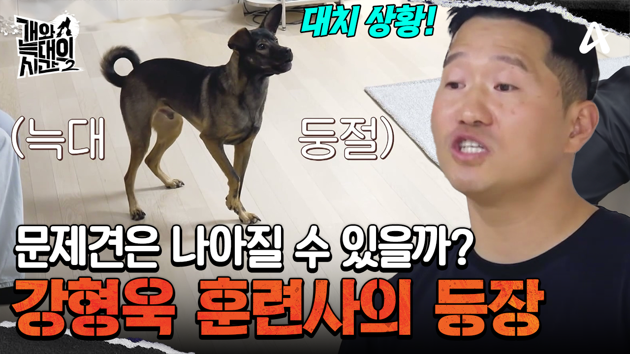 더이상 회피할 수 없는 개과천선의 시간! 강형욱 훈련사 교육으로 변할 수 있을까?