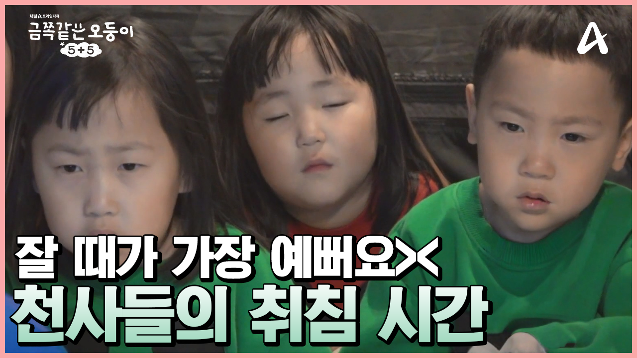잠잘 때가 가장 예쁜 천사들! 그 사이에 \