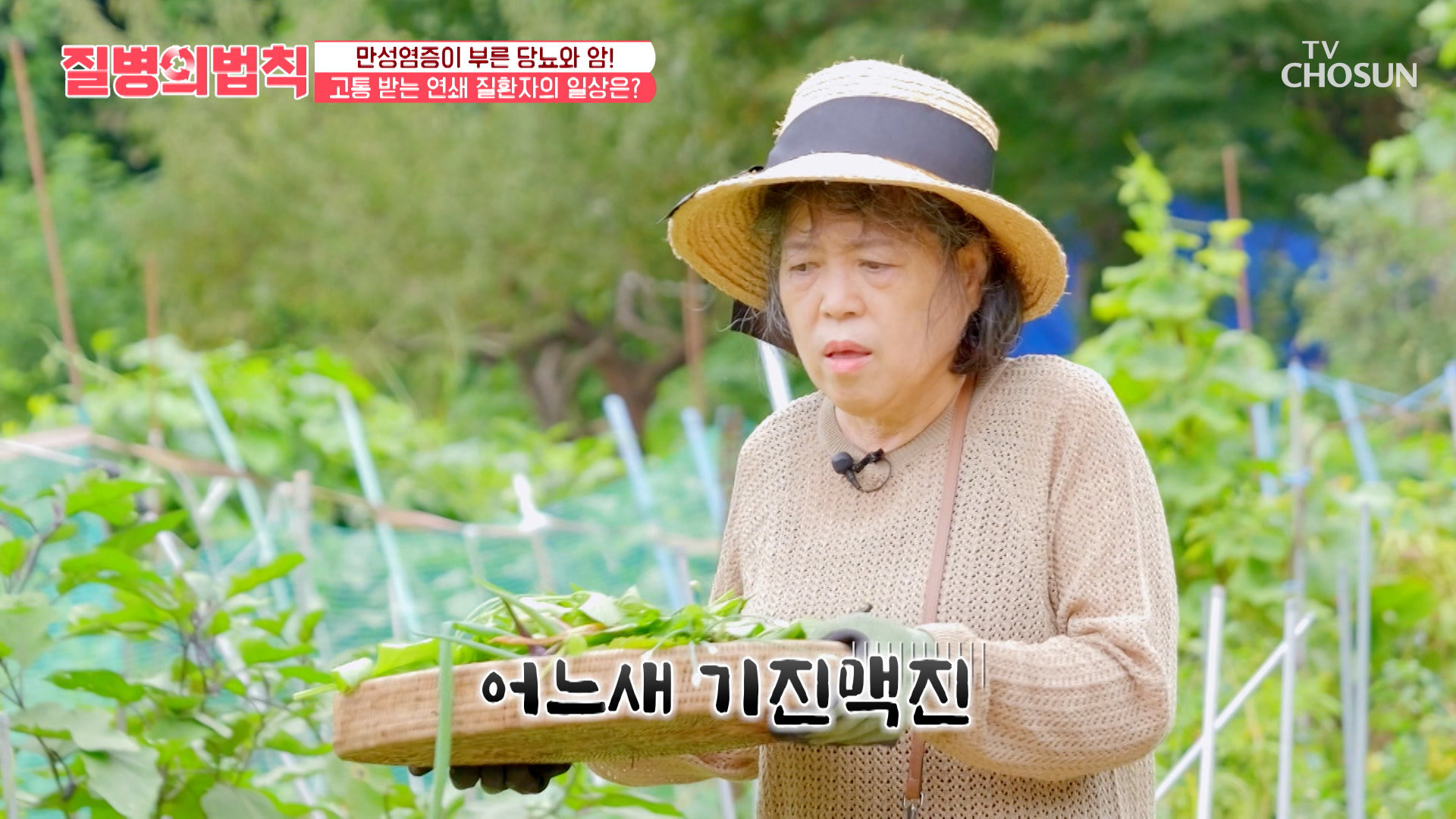 에너지 고갈🪫 만성 염증에 발목 잡혀 움직이는 것조차 버거운 몸 TV CHOSUN 261015 방송
